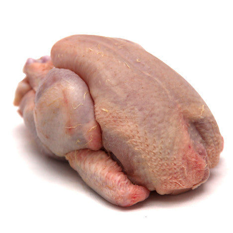 Whole Poussin